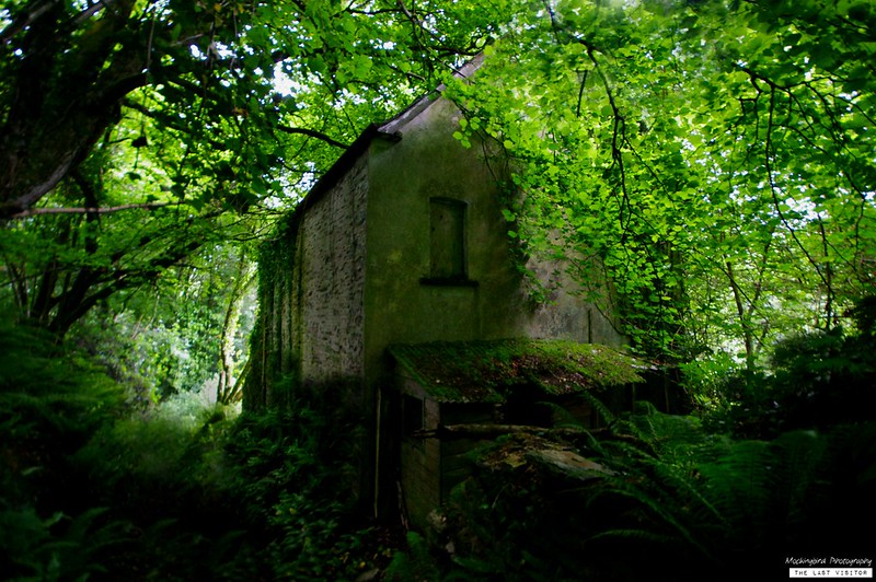 A Quiet Place - June 2018 | Derelict Places - Urban Exploring Forum